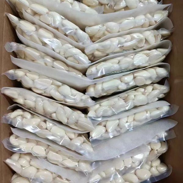 product-600-600 product-600-600