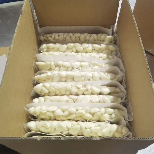 product-600-600 product-600-600