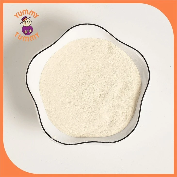 white onion powder (2)